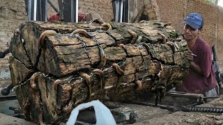 No Safety, No Fear — Battling a Monster Trembesi Log in an Extreme Sawmill