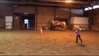 Fhfs Bellamae Gaiting At 120 Days