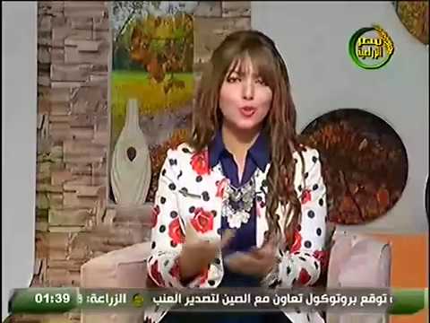 الطلاق و اسبابة الحقيقية فى مصر و الوطن العربى د ابراهيم عبدالرشيد