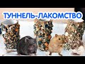 Туннель-лакомство для хомяков, крыс и песчанок