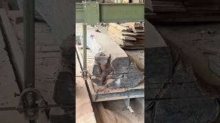 Raw Timber Cutting 🪵😱 #shorts #woodscraft #shortsfeed #viralshorts #viralyoutubeshorts