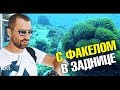 Самый лучший дайвинг и подводный мир острова Ко Тао. Очень много дайверов. Подводная съемка