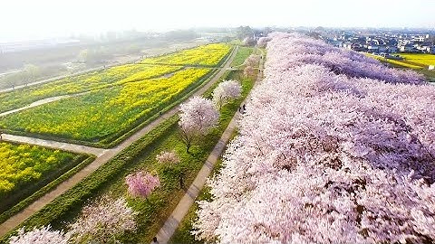 観たことのない日本に出会う、最新ドローンによる絶景空撮映像／映画『ピース・ニッポン』予告編