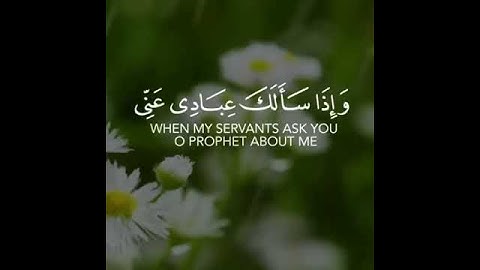 {وَإِذَا سَأَلَكَ عِبَادِي عَنِّي فَإِنِّي قَرِيبٌ} فضيلة الشيخ عبد الباسط عبد الصمد سورة البقرة-186