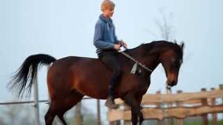[TRAINING] Jesse & Andorra, training!