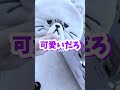 ゲーセンでボロ儲けしたったわwww #いと #どるれく