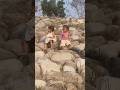 #bollywood #cutebaby #trending #song