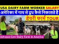 USA में डेरी फार्म Job Salary | Dairy Farm Worker Salary In America | USA Cow milking Process Hindi