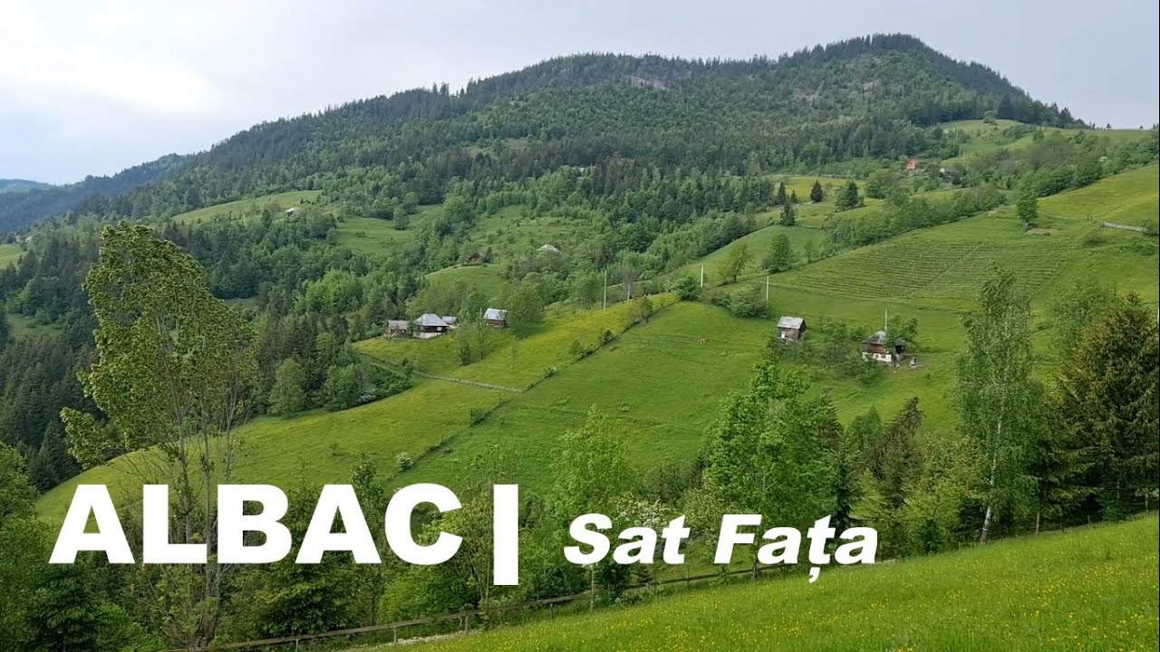 Albac 📌 Sat Faț a ❌ Apuseni