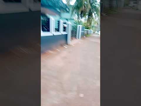 മഴാ വരുന്ന  ഇതാ #shorts