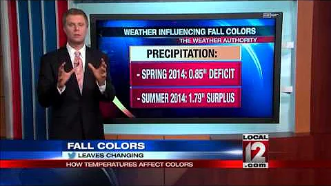 How temperatures affect fall colors