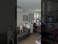 You'll Never Walk Alone (Very proud dad catches kids singing YNWA)