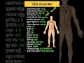 || ସାଧାରଣ ଜ୍ଞାନ ଓଡ଼ିଆ || Odia Gk questions || #shortstoday #india