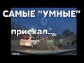 Подборка САМЫХ "УМНЫХ" водителей #653