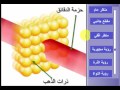 النموذج الكوكبي للذرة تجربة رذفورد ( بنية الذرة ) السنة الرابعة متوسط الأستاذ / بن نوار عبد الرحمان