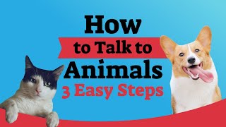 How to Talk to Animals in 3 Easy Steps by Val Heart On Real Wisdom Ted Talk Style TV