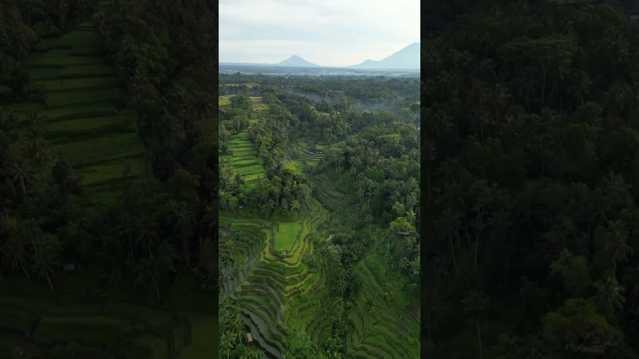 Bali β’ rice terrace hidden waterfall π