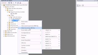 CONEXION SERVER SQL 2008 CON VISUALNET 2010