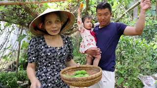 Khói Bếp Miền Quê