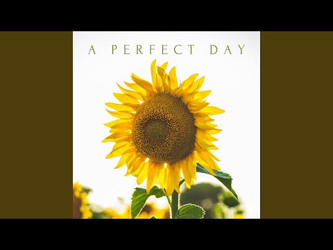 A Perfect Day
