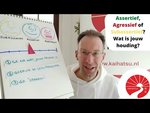 Video: Verschil Tussen Agressie En Assertiviteit