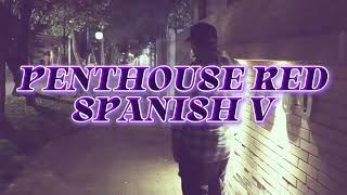 Penthouse Red (Spanish Remix) - Vaikrez