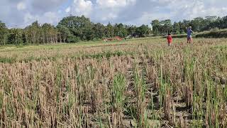 Uji terbang layang layang raksasa naga angling dharma