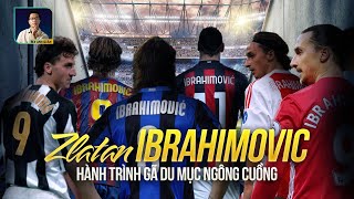 ZLATAN IBRAHIMOVIC TRƯỚC TUỔI 30 ĐÁNG SỢ NHƯ THẾ NÀO?