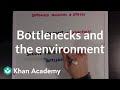 Bottlenecks and the Environment