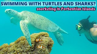 Snorkel Trip in Perhentian Island, Terengganu: BEST snorkeling in Malaysia?  - MALAYSIA TRAVEL VLOG