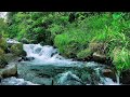 Mountain river ambience for deep relaxation