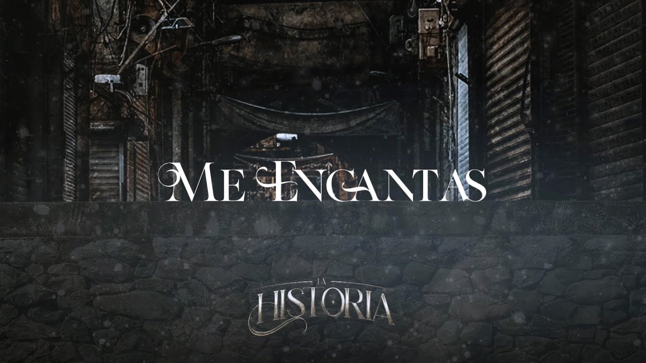 Los Buitres De Culiacán Sinaloa -  Me Encantas (Lyric Video)