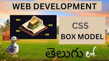 Web Development CSS BOX MODEL Detail Explanation in Telugu (Lesson - 9)