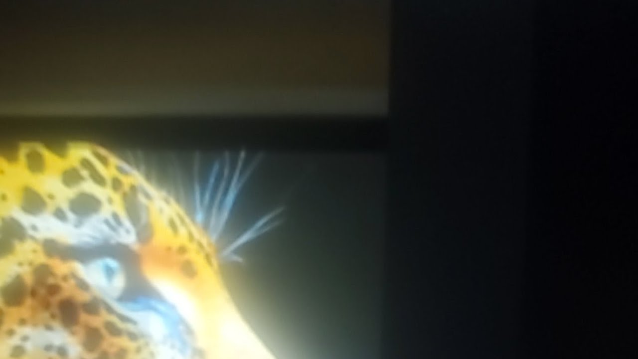 Lol more fake so called black projector screens