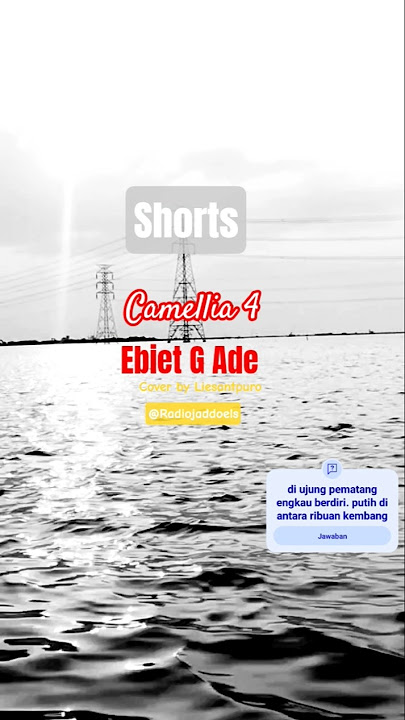 Camellia 4 - Ebiet G Ade #cover #nostalgia #tembang #kenangan @Radiojaddoels