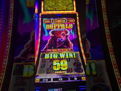 Gioca al Casinò Online su Casino-13.it: La Tua Piattaforma di Gioco in Italia