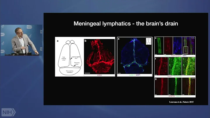 Navigating Unchartered (Neuroimmune) Waters