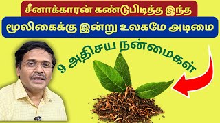 உலகம சவதத ரசககம மலகயன 9 அதசய நனமகள 9 Benefits Of Black Tea