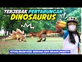 Petualangan Pixel Anak Pemberani : Terjebak Pertarungan 2 Dinosaurus !!!