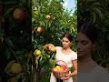 Fresh Fruits from Nature 🍊🌿 #nature #fruits #shortsbeta