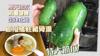 [師奶仔廚房] 節瓜瑤柱豬骨湯 夏天湯水 消暑健脾 生津止渴 (附YouTube 字幕翻譯)