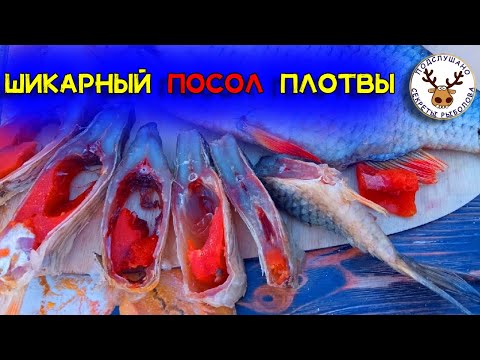Вяленая плотва Как