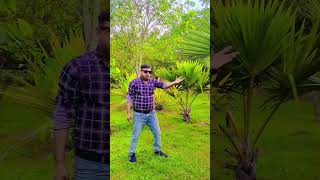 July 20, 2025 name tera rataty rathy##shortestdayoftheyear