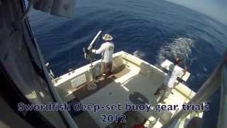 PIER Swordfish deep-set buoy gear trials