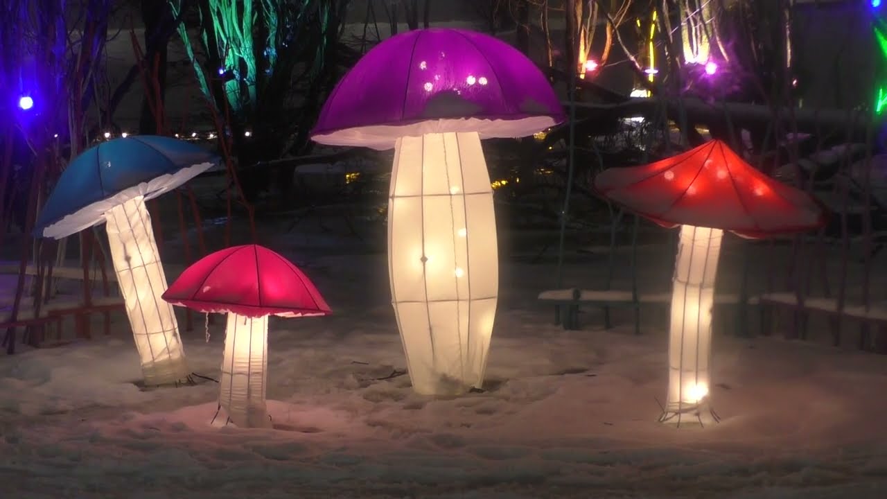 площадь ленина новый год. новогодний орел 2021. главная елка в ульяновске 2023. елка в орле на площади 2023. новогодняя елка.