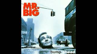 Mr. Big - Promise Her The Moon