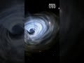 The Shocking Truth About Black Holes: Not Holes At All