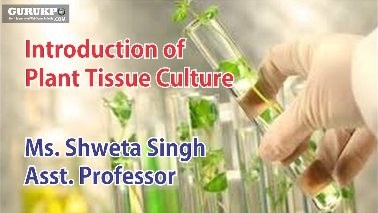 introduction of plant tissue