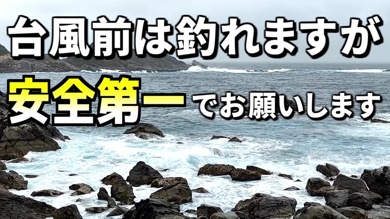 1点限り 送料格安 防波堤からの落とし込み・フカセ釣り・ズボ釣りなど 