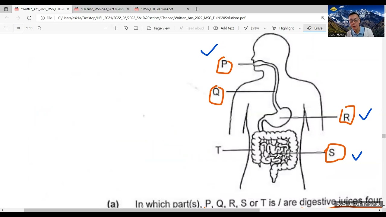 4 Jun'22 Analysis of 2022 Pei Tong P6 Science SA1 Q32, 33 & 37